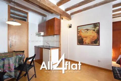 Estudio en Carrer de Perot lo Lladre