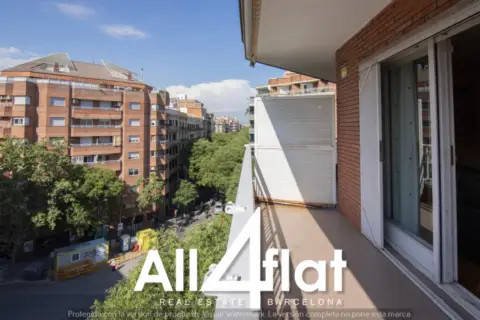 Piso en Carrer de Sepúlveda