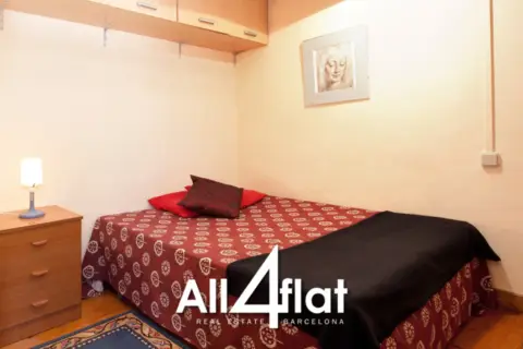 Estudio en Carrer de Perot lo Lladre
