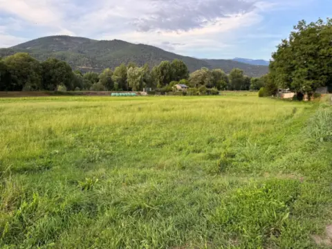 Finca rústica en Camí d'Alàs