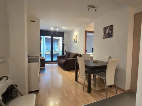 1-bedroom flat for rent in El Tarter, Canillo · 60 of 60