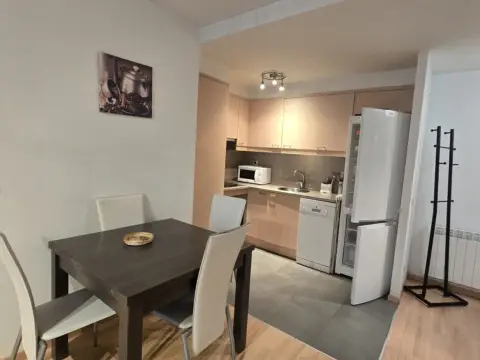 Pis de 1 habitacions de lloguer a El Tarter, Canillo · 52 de 60