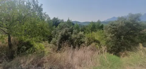 Terreno en calle Josep Plá, nº 96