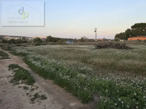 Terreno en Carretera del Altet
