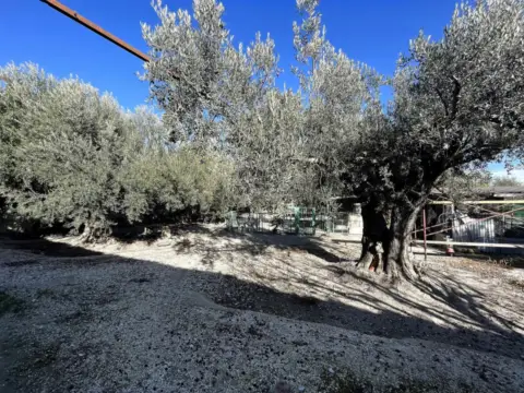 Casa en calle de Moratalla Sabinar