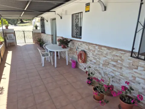 Finca rústica en Vía Alcaucín, nº A-402 2