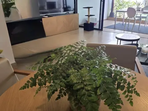 Casa en calle Hermano Pedro