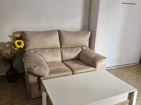 Estudio en calle Telefonista Encarna Ayala