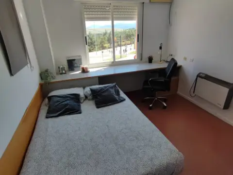 Estudio en calle Campus Universitario