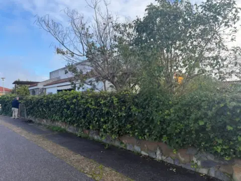 Chalet unifamiliar en Urbanización Club Campo Pino