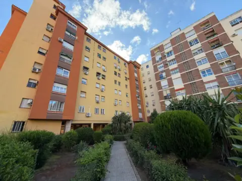 Piso en Avenida de Antonio Masa Campos