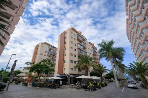 Apartamento en Avenida Familia Betancourt y Molina, 31