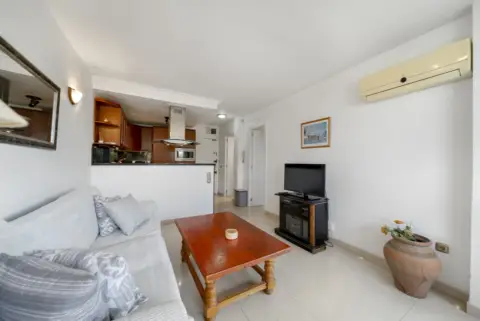 Piso en Avenida de Terramar Alto