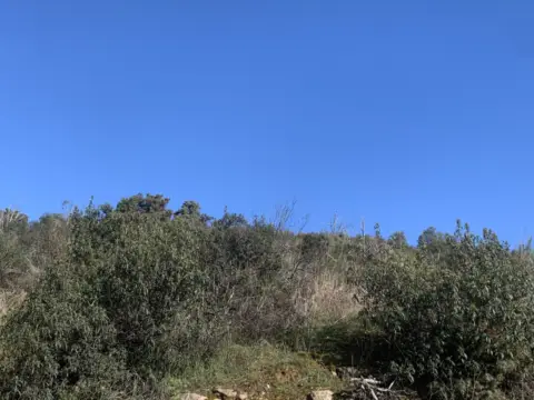Terreno en Camino Vallejo