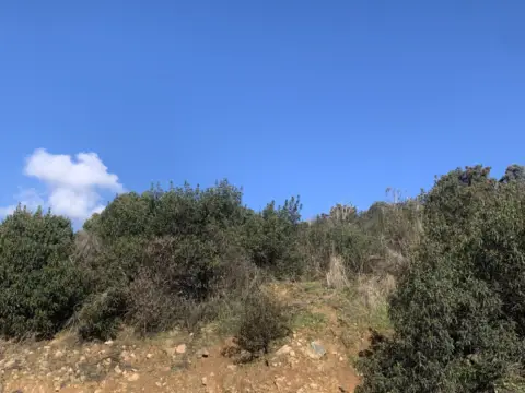 Terreno en Camino Vallejo