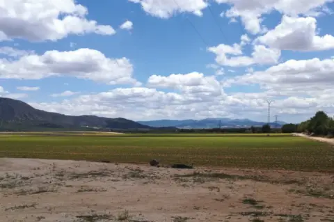 Finca rústica en Vía Rmf 19 , nº 20