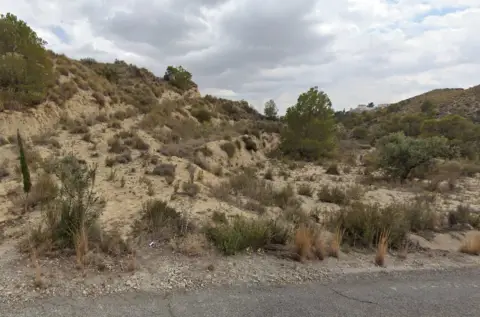 Terreno en calle los Zarates, Polígono 4