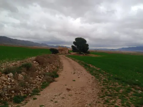 Terreno en Jumilla