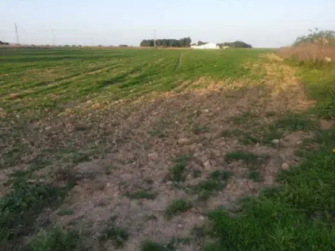 Finca rústica en calle del Molino de Valladolises, 1