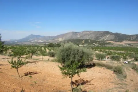 Finca rústica en calle 3