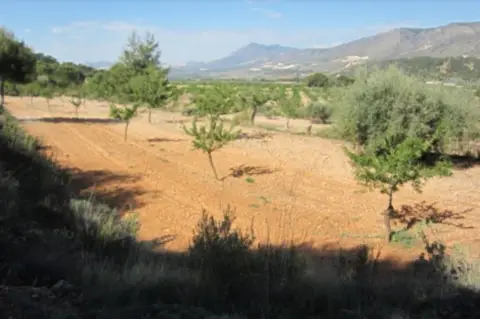 Finca rústica en calle 3