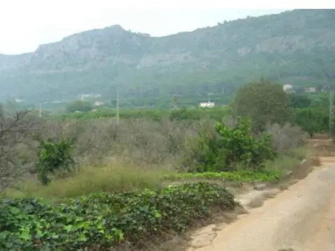 Finca rústica en calle Casella