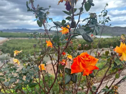 Finca rústica en Vía Rm D14
