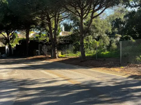 Terreno en calle Daimiel