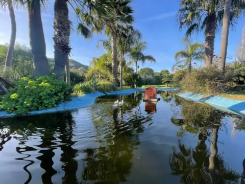 Casa en calle Arroyo del Indiano