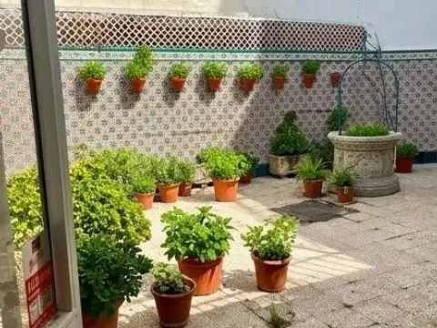 Casa unifamiliar en Centro
