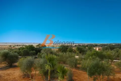 Finca rústica en Santanyí