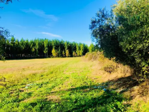 Terreno en calle Paraje Camino Ontalba, nº Sn