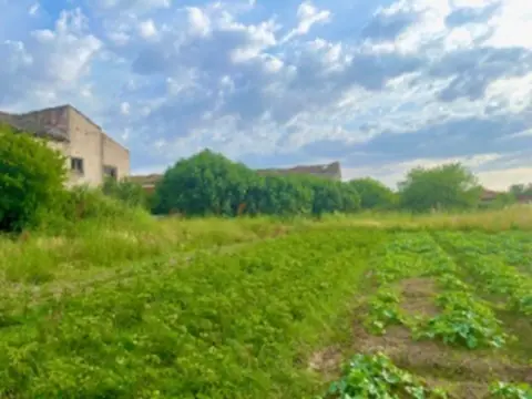 Finca rústica en Urbanización Almoheda