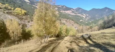 Farmhouse for sale in Pal, La Massana · 34 of 34