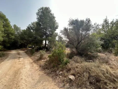 Land in Camino de Foyes Ferraes