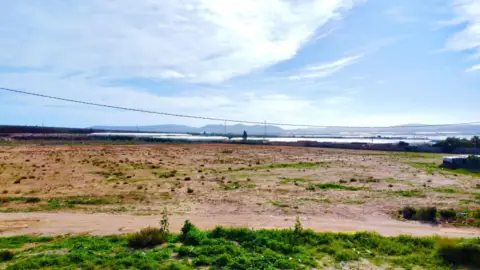 Finca rústica en calle Saladar y Leche