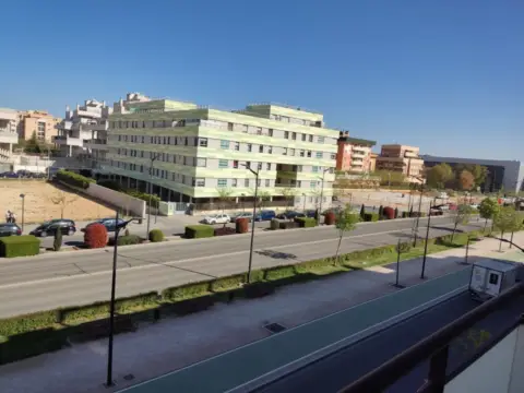 Piso en Santa Cruz-San Antonio Abad-Industria, Cañicas