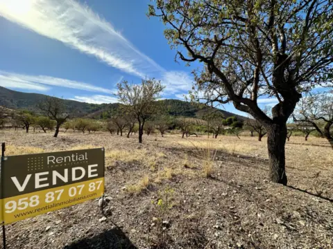Terreno en Polígono Polígono