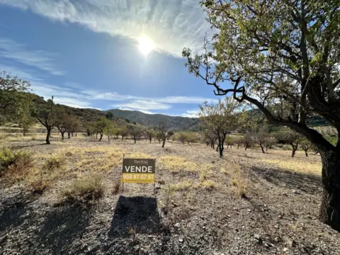 Terreno en Polígono Polígono