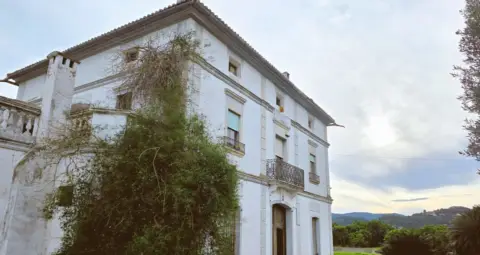 Finca rústica en Carretera Cv50, nº S/N