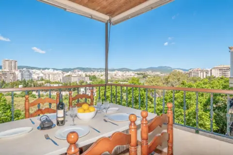 Piso – Palma