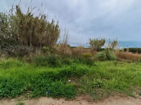 Terreno en El Far-El Dossel