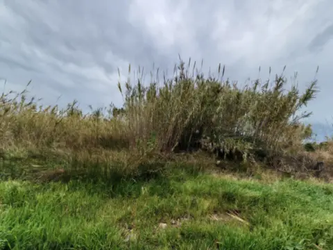 Terreno en El Far-El Dossel
