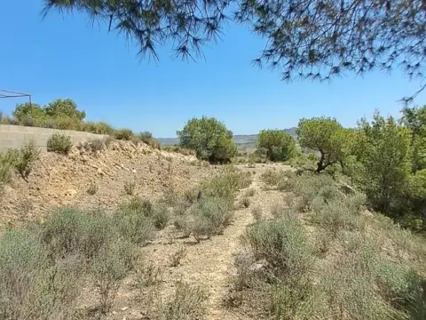 Terreno en Urbanización La Pinada