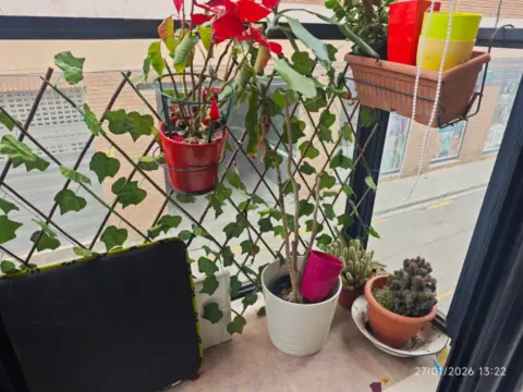 Piso en calle del General Almirante