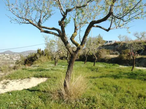 Terreno en La Fustera