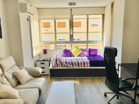 Estudio en Avenida de Madrid