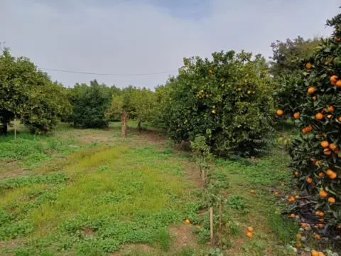 Terreno en Plaza Príncipe de España