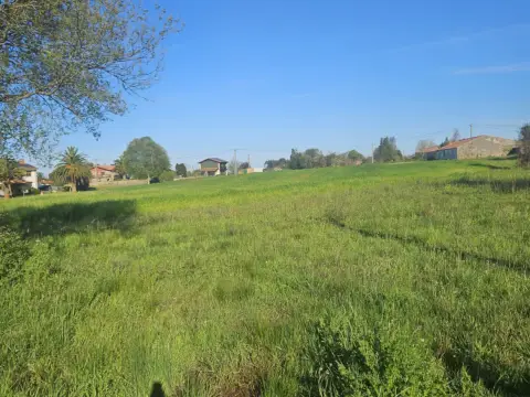 Terreno en Camino La Huerta