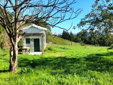 Terreno en calle Ñora, nº 1